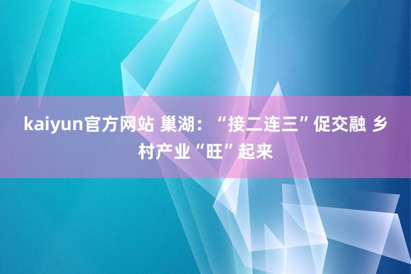 kaiyun官方网站 巢湖：“接二连三”促交融 乡村产业“旺”起来