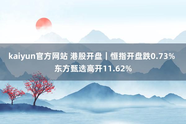 kaiyun官方网站 港股开盘｜恒指开盘跌0.73% 东方甄选高开11.62%