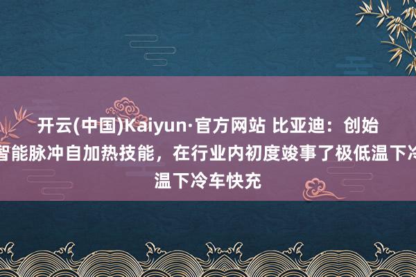 开云(中国)Kaiyun·官方网站 比亚迪：创始全场景智能脉冲自加热技能，在行业内初度竣事了极低温下冷车快充