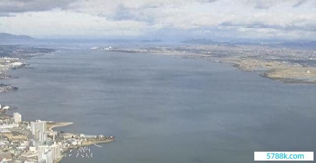 日本最大湖泊多数水鸟厌世 琵琶湖水鸟惨遭“棘手”