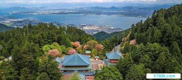 日本最大湖泊多数水鸟厌世 琵琶湖水鸟惨遭“棘手”