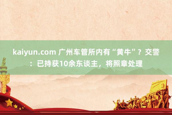 kaiyun.com 广州车管所内有“黄牛”？交警：已持获10余东谈主，将照章处理