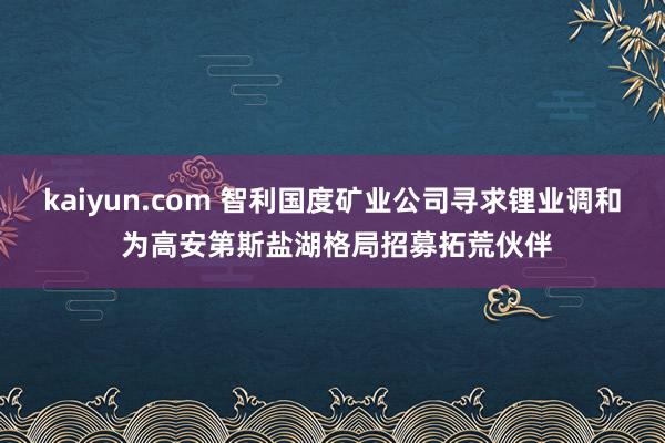 kaiyun.com 智利国度矿业公司寻求锂业调和 为高安第斯盐湖格局招募拓荒伙伴