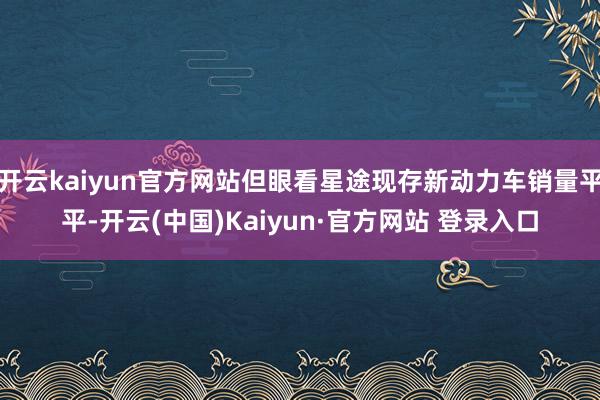 开云kaiyun官方网站但眼看星途现存新动力车销量平平-开云