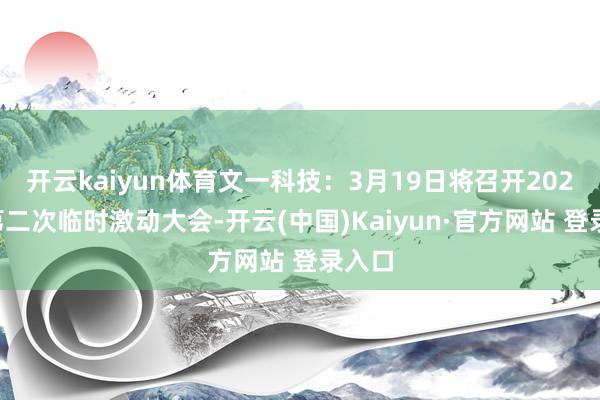 开云kaiyun体育文一科技：3月19日将召开2025年第二